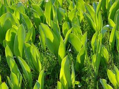 -宜宾海鲜酒家·三十年老字号