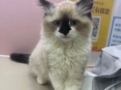 -阿荣24H宠物医院·综合型转诊中心·CT·核磁影像中心