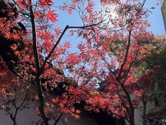 -沧浪亭