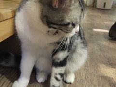 -小时光咖啡馆(开森度假森林店)