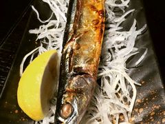 -春草居酒屋·晴子の店