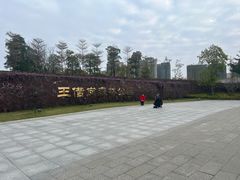 -王借岗森林公园