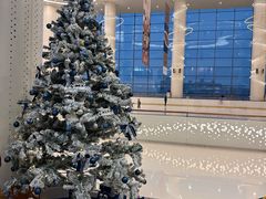 -世纪星滑冰俱乐部(万象城店)