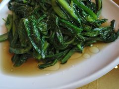 -金孔雀温泉旅游度假村