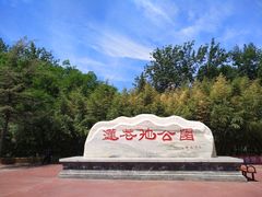 -莲花池公园
