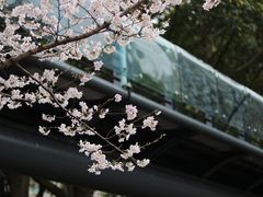 -徐家汇公园