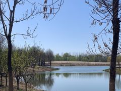 -东郊湿地公园