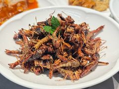 -燕春楼(海河华鼎店)