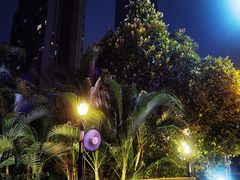 -勝記酒家·37年老字号·经典粤菜(荔枝公园店)
