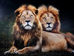 -罗红摄影艺术馆