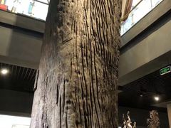 -乐山乌木文化博览苑