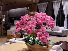 -上海佘山茂御臻品之选酒店(原佘山艾美酒店)