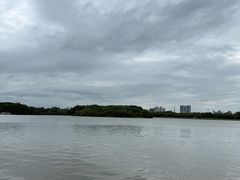 -海珠湖公园