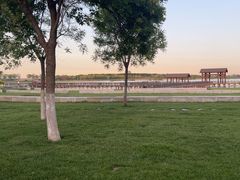 -天津东丽湖风景区