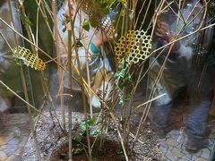 -上海海洋水族馆