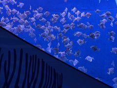 -沈阳海洋探索中心