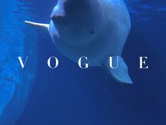 -珠海长隆海洋王国