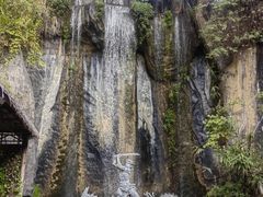 -西双版纳原始森林公园
