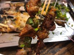 -野火鲜货烧烤(河边小院店)