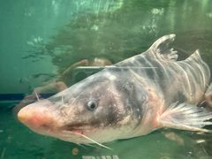 -食理八湘(中海城风情苑北区店)