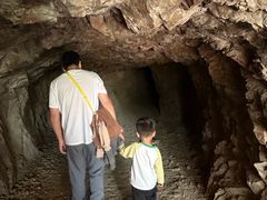 -上海佘山国家森林公园天马山园