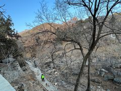 -泰山风景名胜区