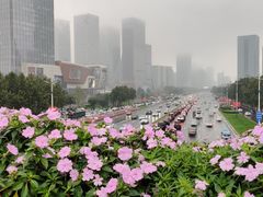 -雨雨炸鸡