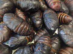 -悟烧·自助烤肉料理(秋林旗舰店)