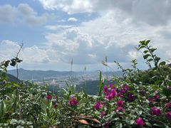 -东莞观音山旅游风景区