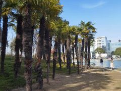-美兰湖景区