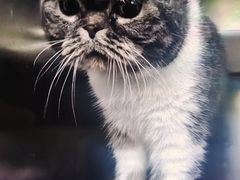 -爱诺耐芙动物医院(万博店)