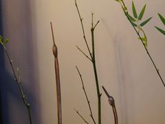 -渔沧米缸·绍兴美食(万达店)
