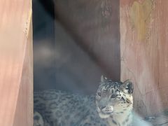 -青藏高原野生动物园