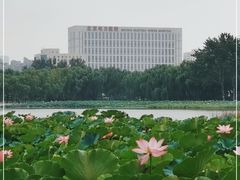 -北京电力医院