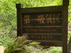 -本溪汤沟绿石谷森林公园