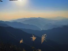 -午潮山国家森林公园