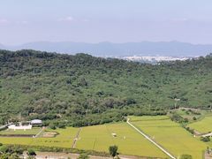 -风云岭森林公园