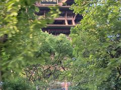 -黄鹤楼公园(黄鹤楼)