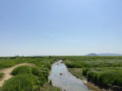 -鄱阳湖国家湿地公园