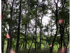-北京奥林匹克公园