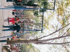 -西安市长乐公园