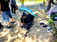 -武夷山风景名胜区-玉女峰