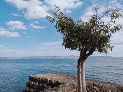-抚仙湖禄充风景区