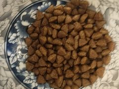 -萌兽医馆·犬猫专科·眼科中心·宠物医院(朝阳门分院)