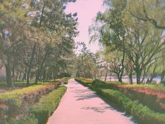 -莱西月湖公园