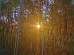 -南京市无想山景区