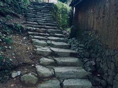 -杨家堂村