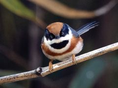 -白塘生态植物园