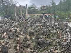 -贵州森林野生动物园