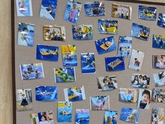 -酷游亲子游泳中心